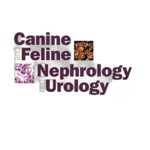 cover, canine, feline, nephrology transparent PNG cut-out