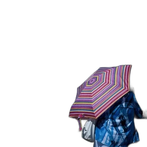 umbrella, hat, jacket, dress transparent PNG cut-out