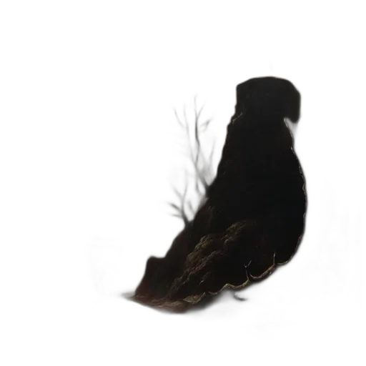 animal, hair, crown, hat transparent PNG cut-out