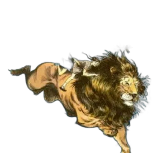 animal, hair, staff, creature transparent PNG cut-out