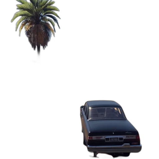 car, tree, animal, weapon transparent PNG cut-out