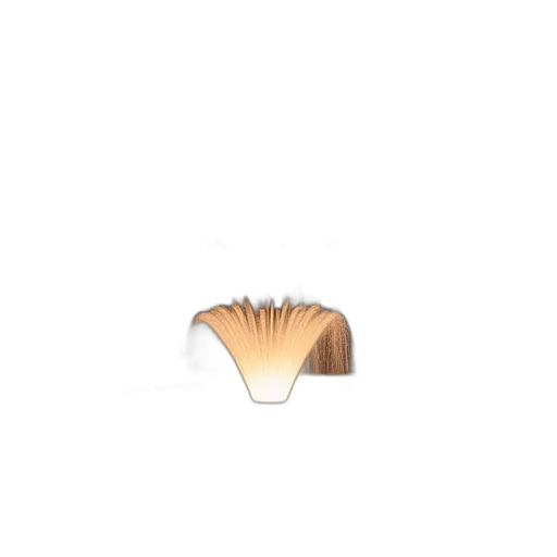 hair, hat, crown, umbrella transparent PNG cut-out