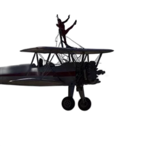 animal, car, weapon, creature transparent PNG cut-out