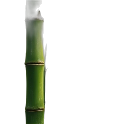 staff, weapon, sword, food transparent PNG cut-out