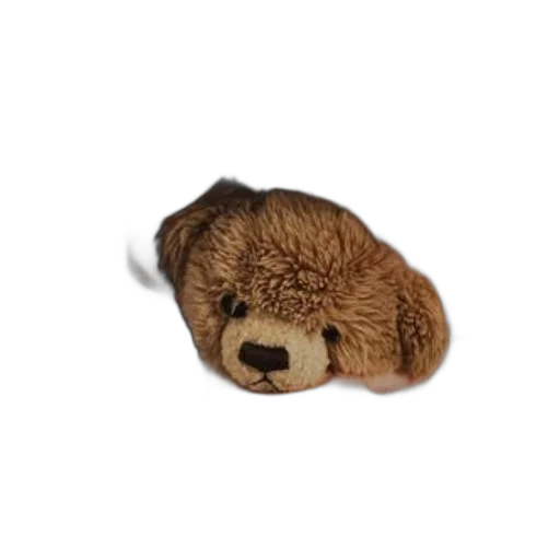 staff, animal, hat, face transparent PNG cut-out