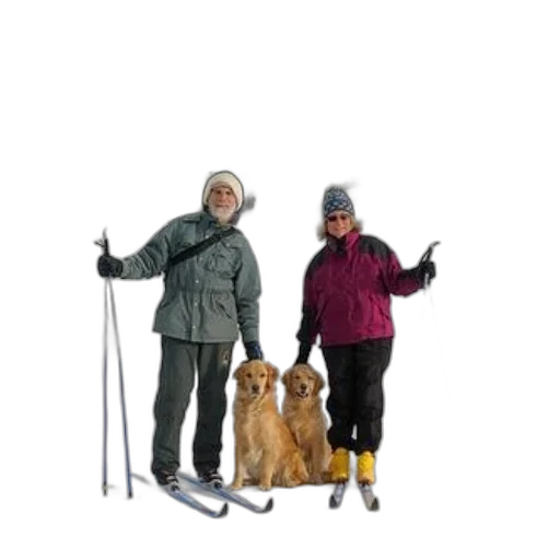 staff, animal, umbrella, snow transparent PNG cut-out