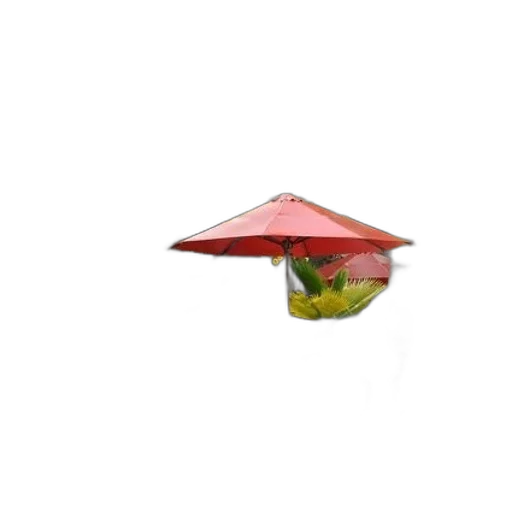 umbrella, hat, staff, food transparent PNG cut-out