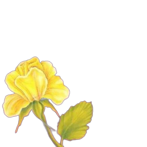 flower, crown, staff, jewelry transparent PNG cut-out