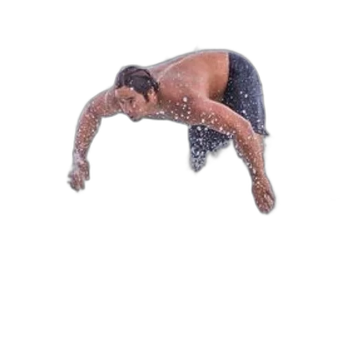 creature, animal, hair, jewelry transparent PNG cut-out