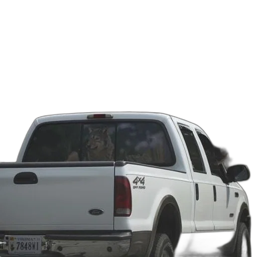 car, animal, weapon, 3d render transparent PNG cut-out