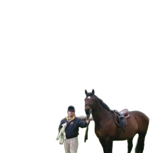 animal, staff, creature, hat transparent PNG cut-out
