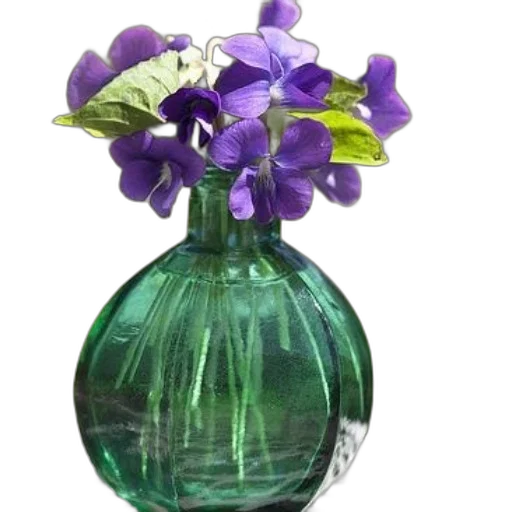 bottle, flower, crown, jewelry transparent PNG cut-out