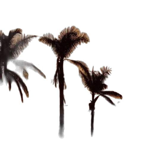 hair, dragon, crown, weapon transparent PNG cut-out