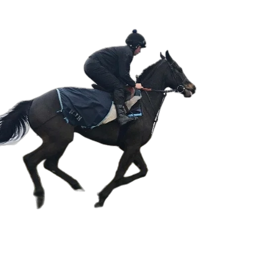 animal, staff, jacket, hat transparent PNG cut-out