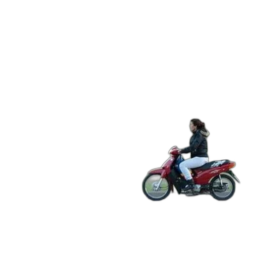 car, jacket, animal, weapon transparent PNG cut-out