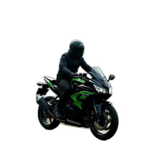 jacket, weapon, animal, dragon transparent PNG cut-out