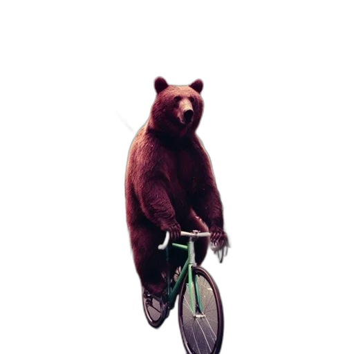 animal, creature, umbrella, car transparent PNG cut-out