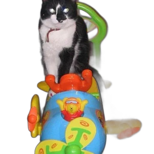staff, animal, furniture, robot transparent PNG cut-out