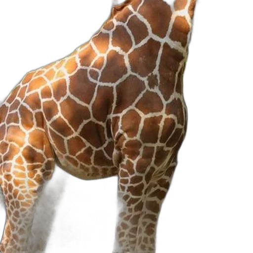animal, creature, staff, 3d render transparent PNG cut-out