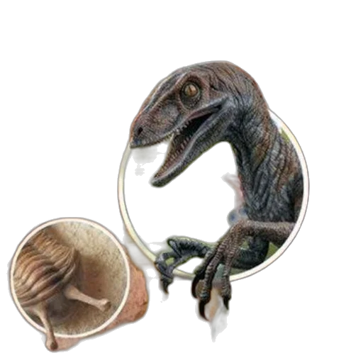 dragon, creature, jewelry, animal transparent PNG cut-out