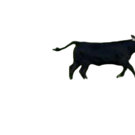 animal, jewelry, staff, food transparent PNG cut-out