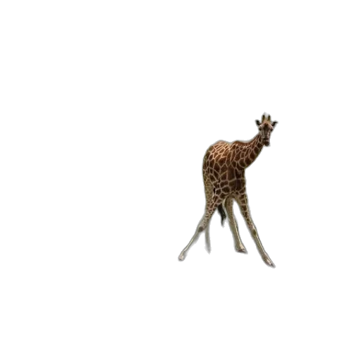 animal, creature, crown, staff transparent PNG cut-out