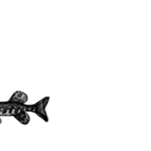 weapon, animal, dragon, staff transparent PNG cut-out