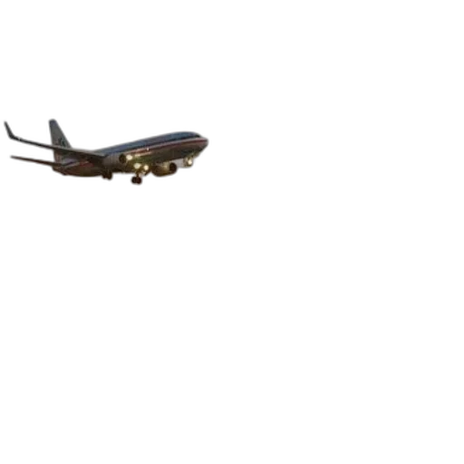 weapon, dragon, animal, staff transparent PNG cut-out