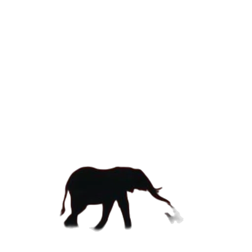 animal, creature, umbrella, hat transparent PNG cut-out