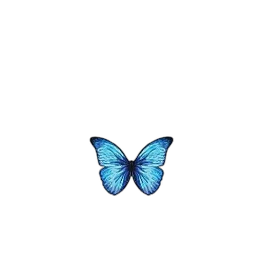 animal, creature, flower, jewelry transparent PNG cut-out