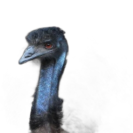 animal, creature, staff, face transparent PNG cut-out