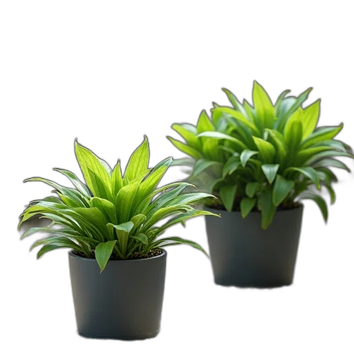 crown, 3d render, photorealistic, green transparent PNG cut-out