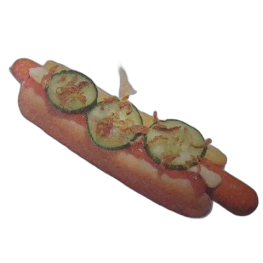 food, animal, weapon, creature transparent PNG cut-out