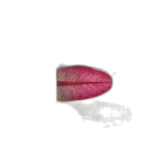 jewelry, flower, staff, hat transparent PNG cut-out