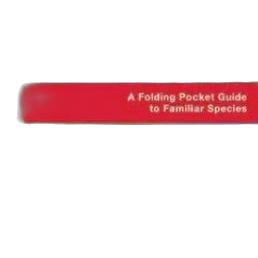 staff, jacket, folding, pocket transparent PNG cut-out