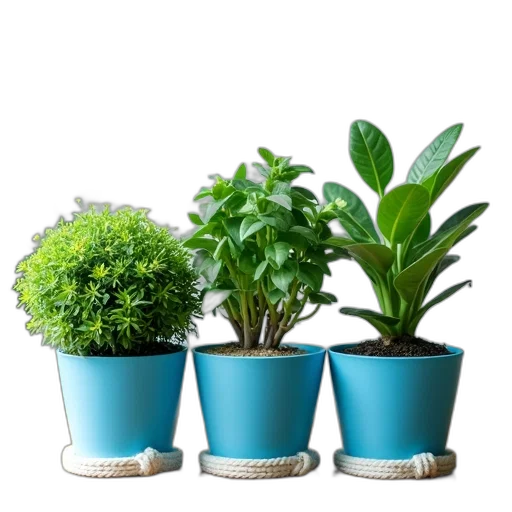 3d render, photorealistic, green, collection transparent PNG cut-out