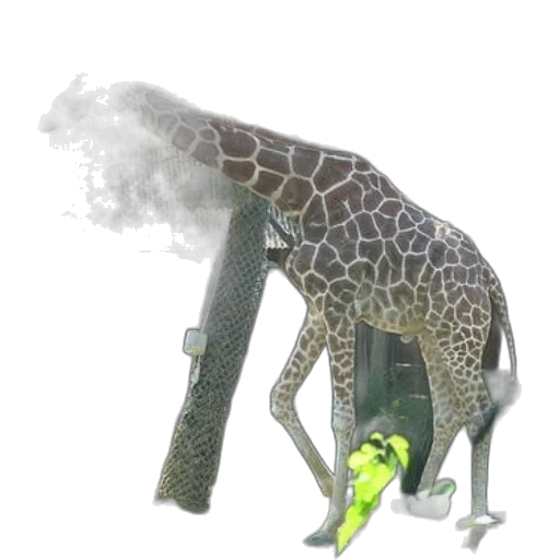 animal, weapon, staff, creature transparent PNG cut-out
