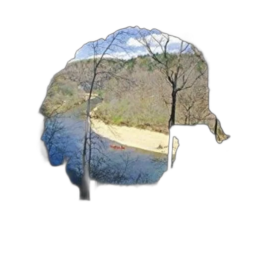 hat, crown, tree, umbrella transparent PNG cut-out