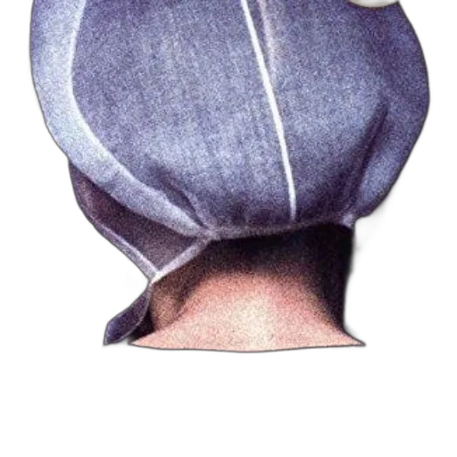 hat, crown, hair, mask transparent PNG cut-out