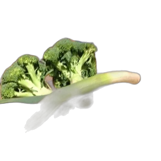 food, animal, dragon, weapon transparent PNG cut-out