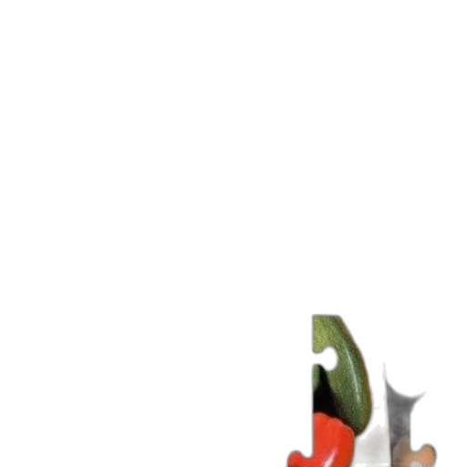 hat, staff, shoes, weapon transparent PNG cut-out