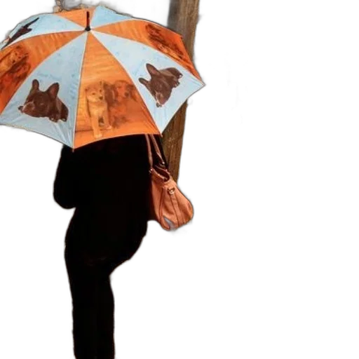 umbrella, jacket, hat, concept art transparent PNG cut-out