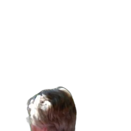 hair, face, creature, mask transparent PNG cut-out