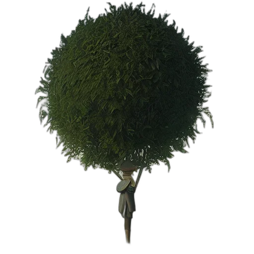tree, staff, crown, hair transparent PNG cut-out