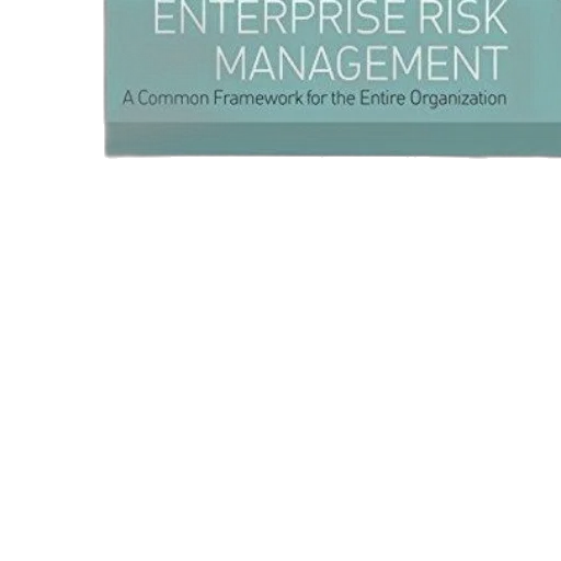 enterprise, risk, management, common transparent PNG cut-out