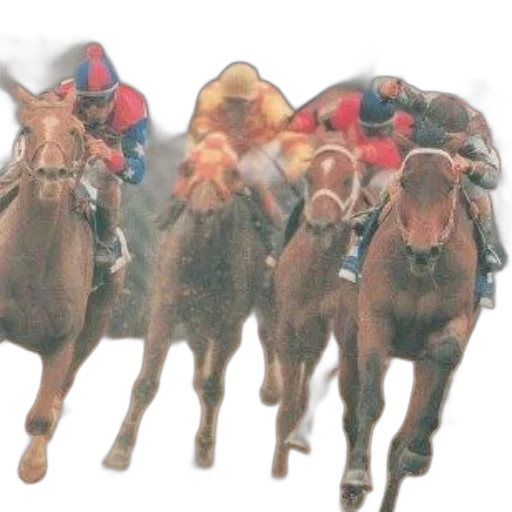 animal, crown, dynamic, scene transparent PNG cut-out