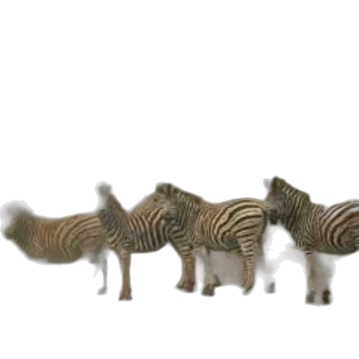 animal, creature, staff, furniture transparent PNG cut-out