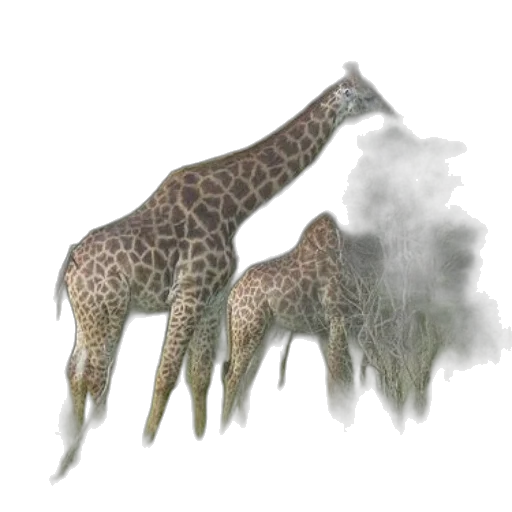 creature, animal, dragon, staff transparent PNG cut-out