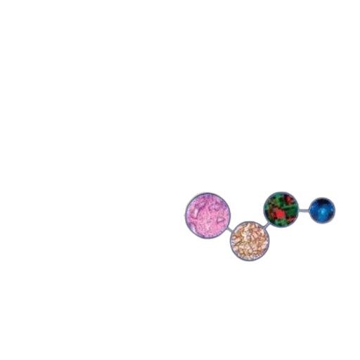 jewelry, food, flower, crown transparent PNG cut-out