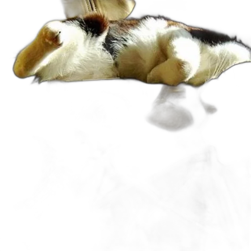 animal, hat, creature, staff transparent PNG cut-out